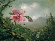 Martin Johnson Heade Orchid and Hummingbird near a Mountain Waterfall china oil painting artist
